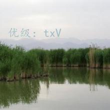 ǰ